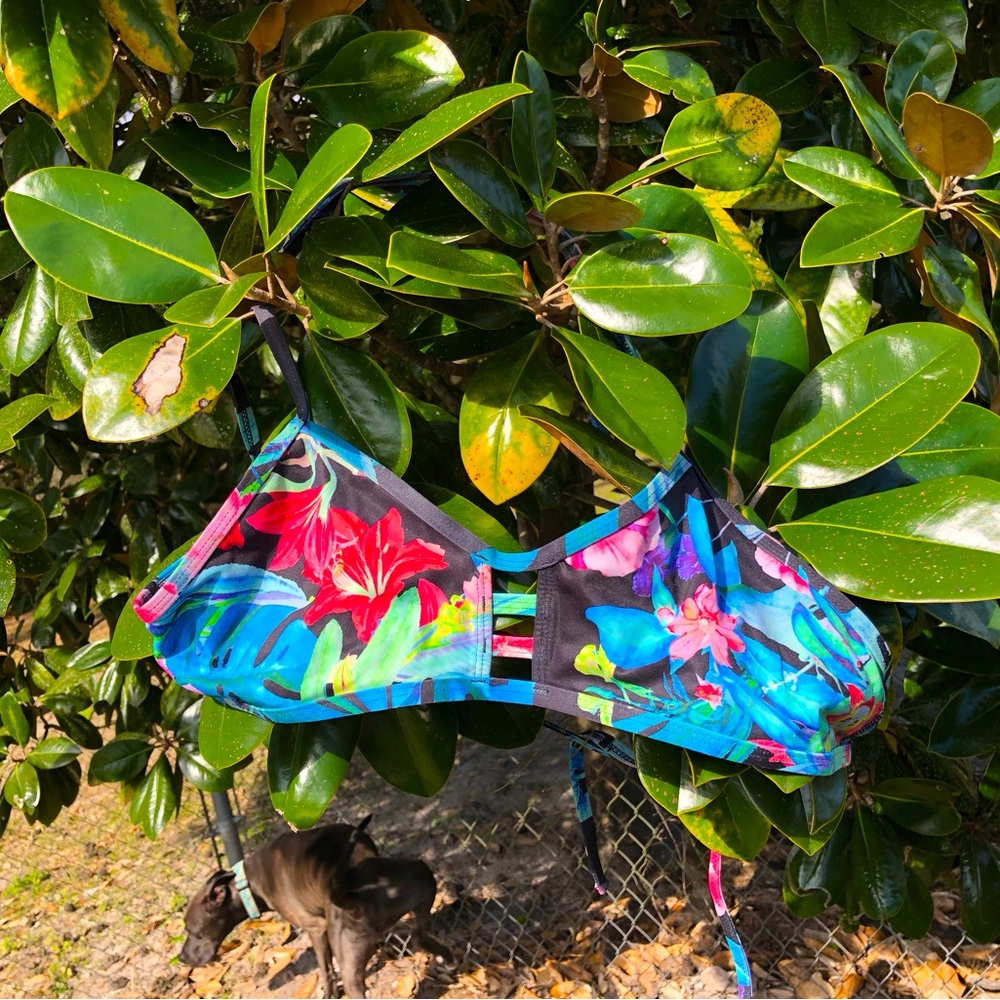 Jolyn tomcat swim top in Tropix print 🌊🌴